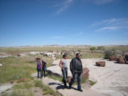 2010 Route 66